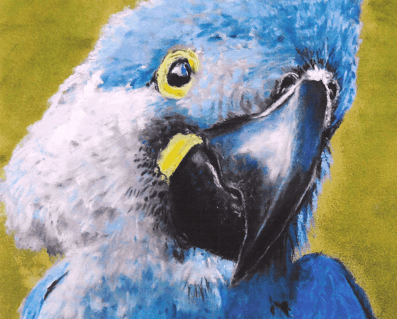 Aus dem Leben gezeichnet – Ausstellung von Martina Pfeifer