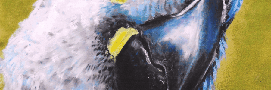 Aus dem Leben gezeichnet – Ausstellung von Martina Pfeifer
